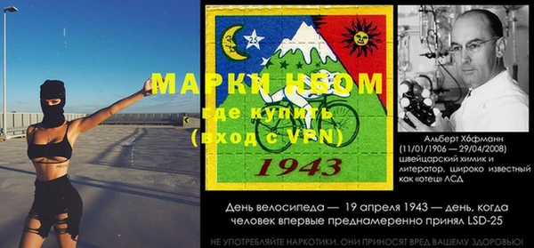 шишки Баксан