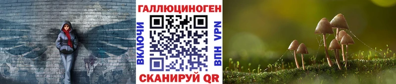 купить  цена  Сольцы  Галлюциногенные грибы прущие грибы 